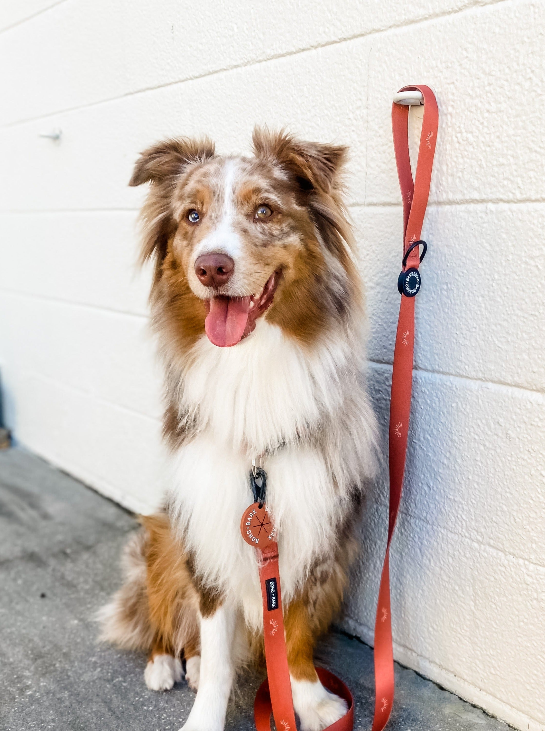 Blue River - Boho Scarf online Leash